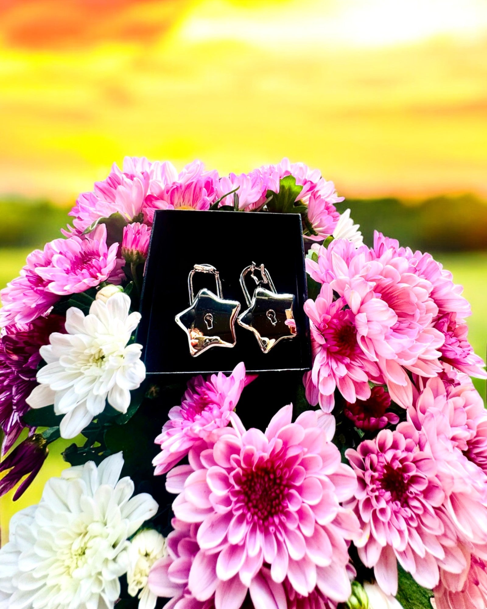 2 Stjerne Mini Hængelåse med Gravering – Beskyt Dine Drømme, personaliseret som gave, 2 farvevarianter at vælge imellem