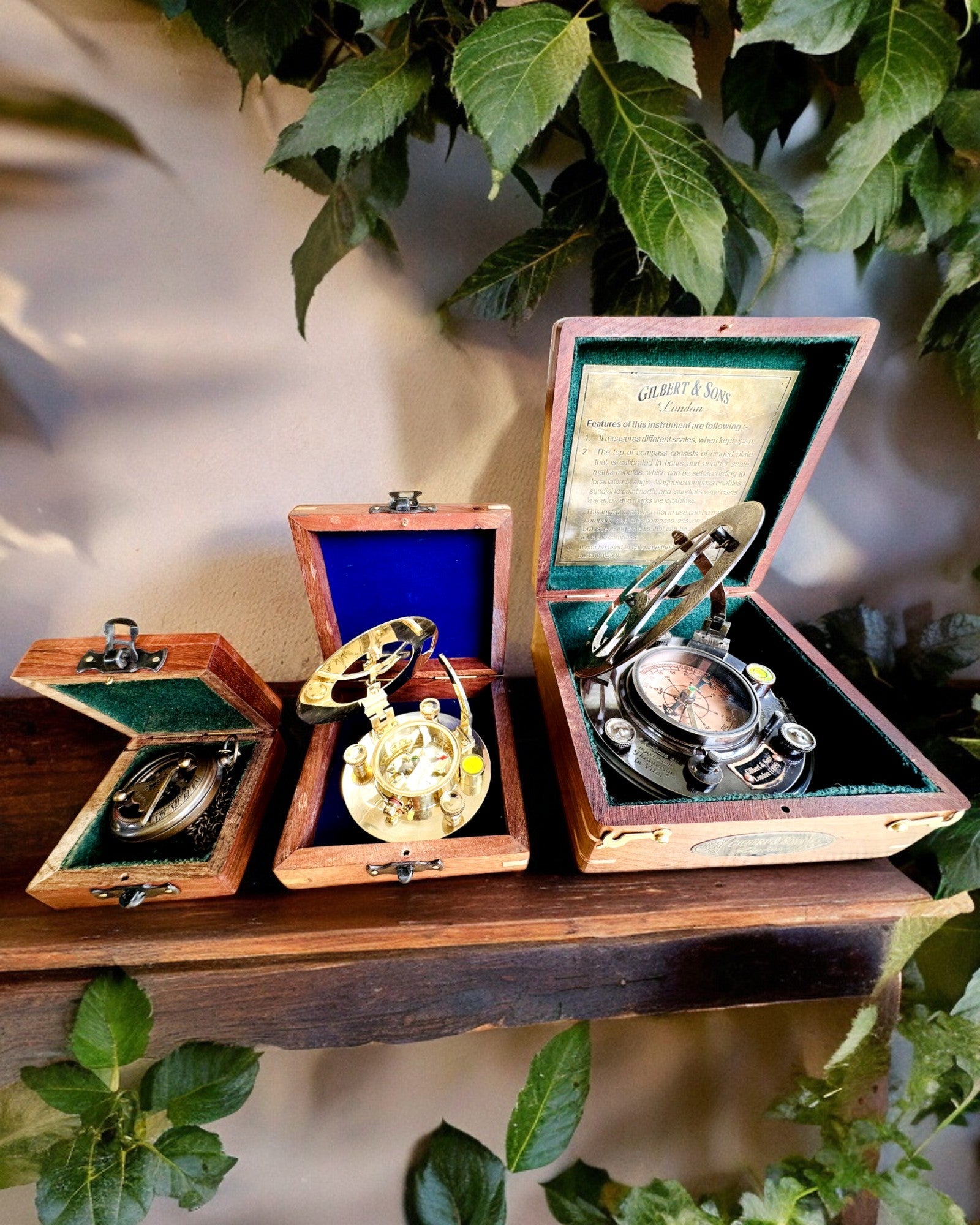 Stor Trækasse til Kompas "Gilbert & Sons" med Mulighed for Gravering