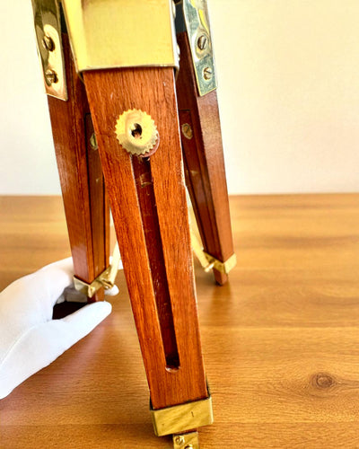 Celestial-lup på Træstander 41 cm, mulighed for personalisering med gravering som gave