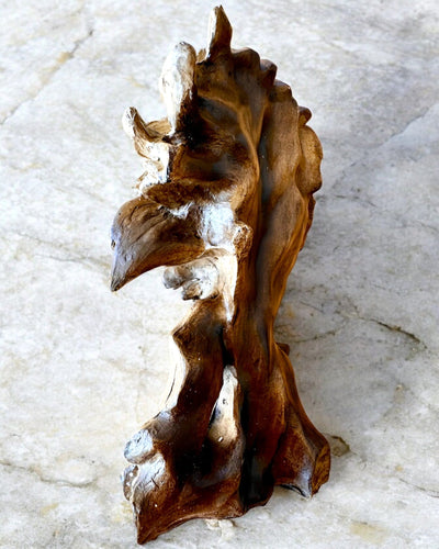 Lwia Odwaga Figurka z Żywicy, 28 cm højde, med mulighed for gravering som gave