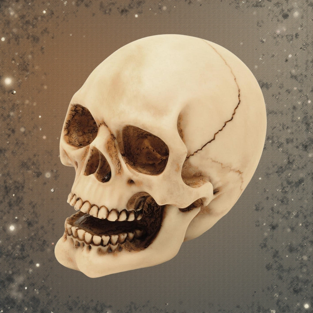 10 cm dekorativ kraniefigur med mulighed for gravering – håndmalet dekoration i polyresin som gave til elskere af gothic- og dark-stil