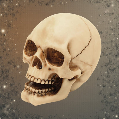 10 cm dekorativ kraniefigur med mulighed for gravering – håndmalet dekoration i polyresin som gave til elskere af gothic- og dark-stil