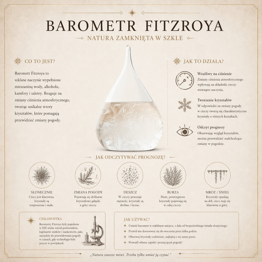 Fitzroy stormglas-globus - skrivebordsdekoration, gadget - BAW11003