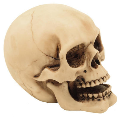 10 cm dekorativ kraniefigur med mulighed for gravering – håndmalet dekoration i polyresin som gave til elskere af gothic- og dark-stil