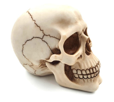 Dekorativ kraniefigur 15 cm - MC-30685