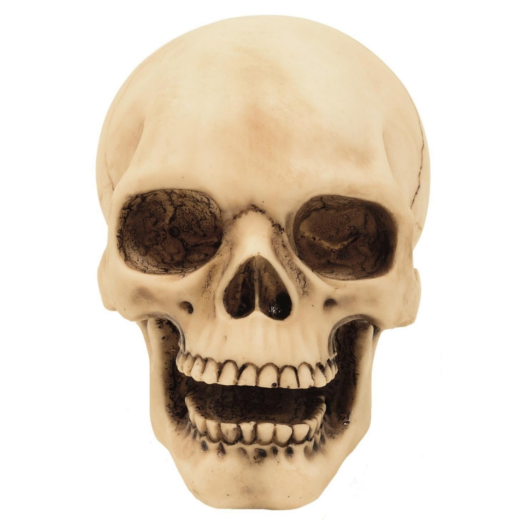 10 cm dekorativ kraniefigur med mulighed for gravering – håndmalet dekoration i polyresin som gave til elskere af gothic- og dark-stil