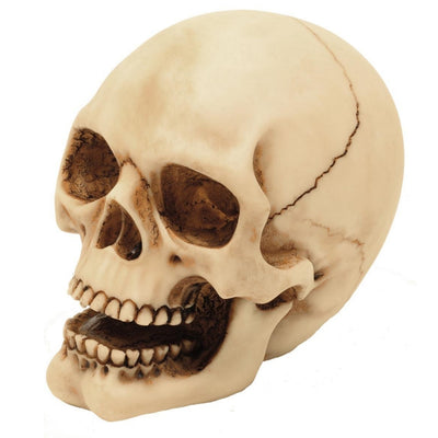 10 cm dekorativ kraniefigur med mulighed for gravering – håndmalet dekoration i polyresin som gave til elskere af gothic- og dark-stil