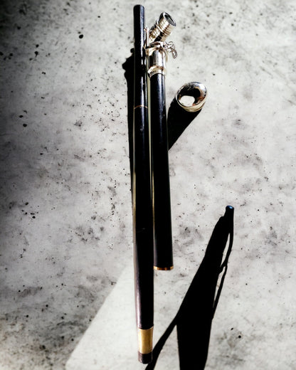 GÅSTOK MED HÅNDTAG OG KIKKERTFUNKTION – ELEGANT OG MODERNE, 95 CM - kaptajnens "Navigator's Crest"