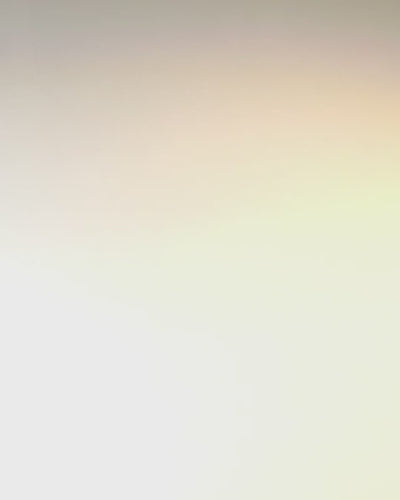 "Królewski Ryk" Firkantet Skuldertaske med Løvehoved